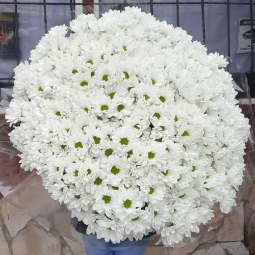 Снежная королева