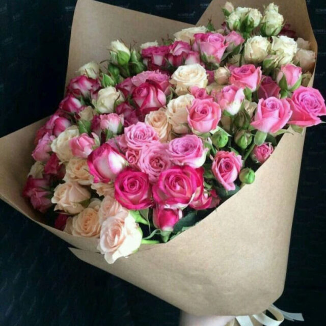 Малиновая мадонна