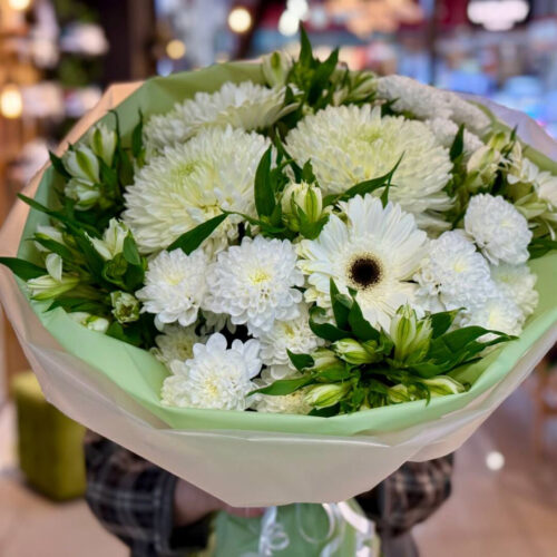 Зеленый мир