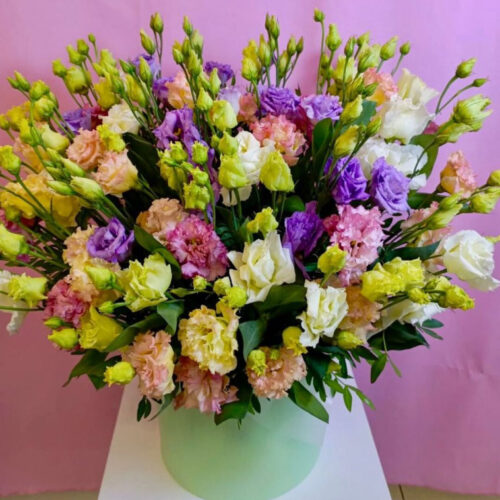 Лунная лоза